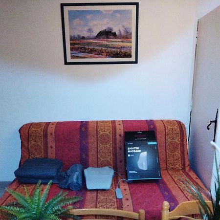 Residence Du Parc Des Tilleuls De Lyon 82 M2 Pkg Free Dış mekan fotoğraf