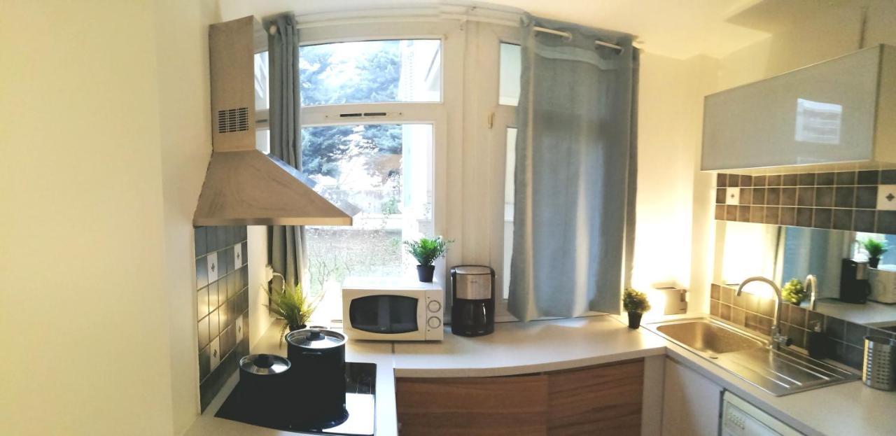 Residence Du Parc Des Tilleuls De Lyon 82 M2 Pkg Free Dış mekan fotoğraf