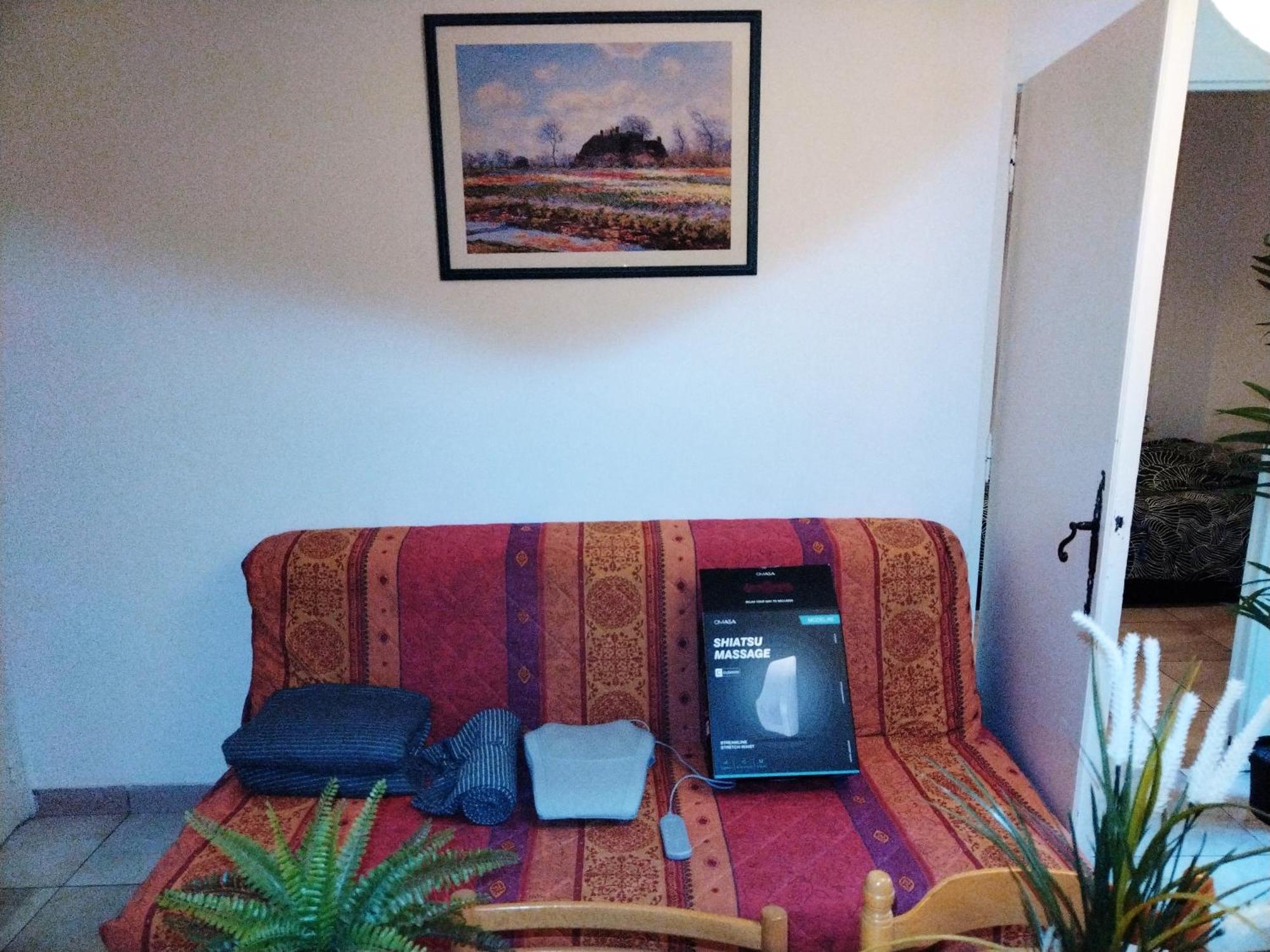 Residence Du Parc Des Tilleuls De Lyon 82 M2 Pkg Free Dış mekan fotoğraf